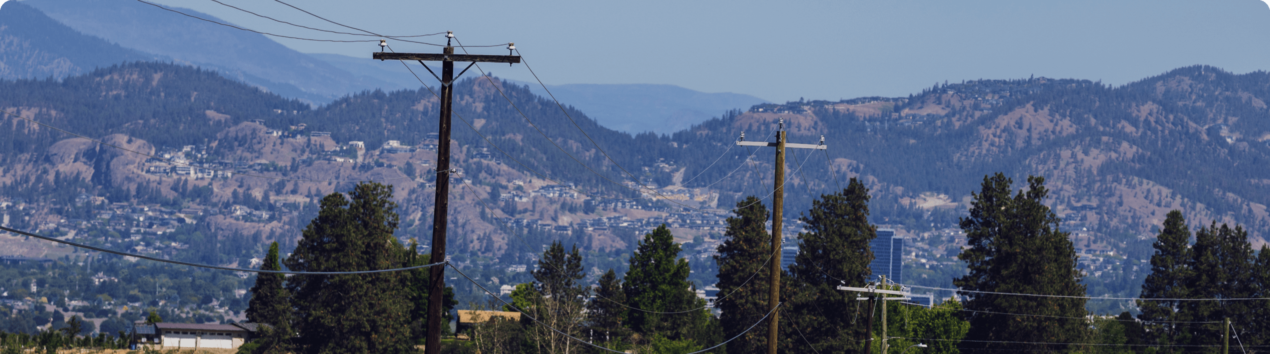 Power lines and pine trees with mountains in the background