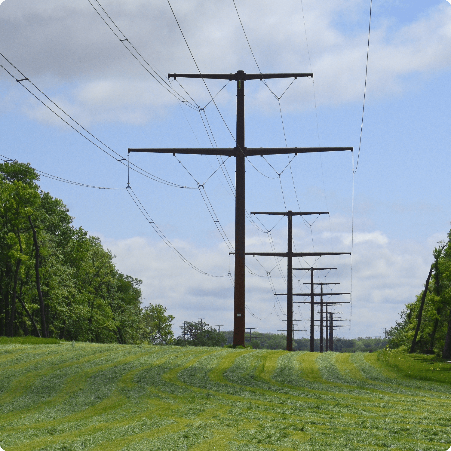 Power lines in the middle of a field with trees and blue sky